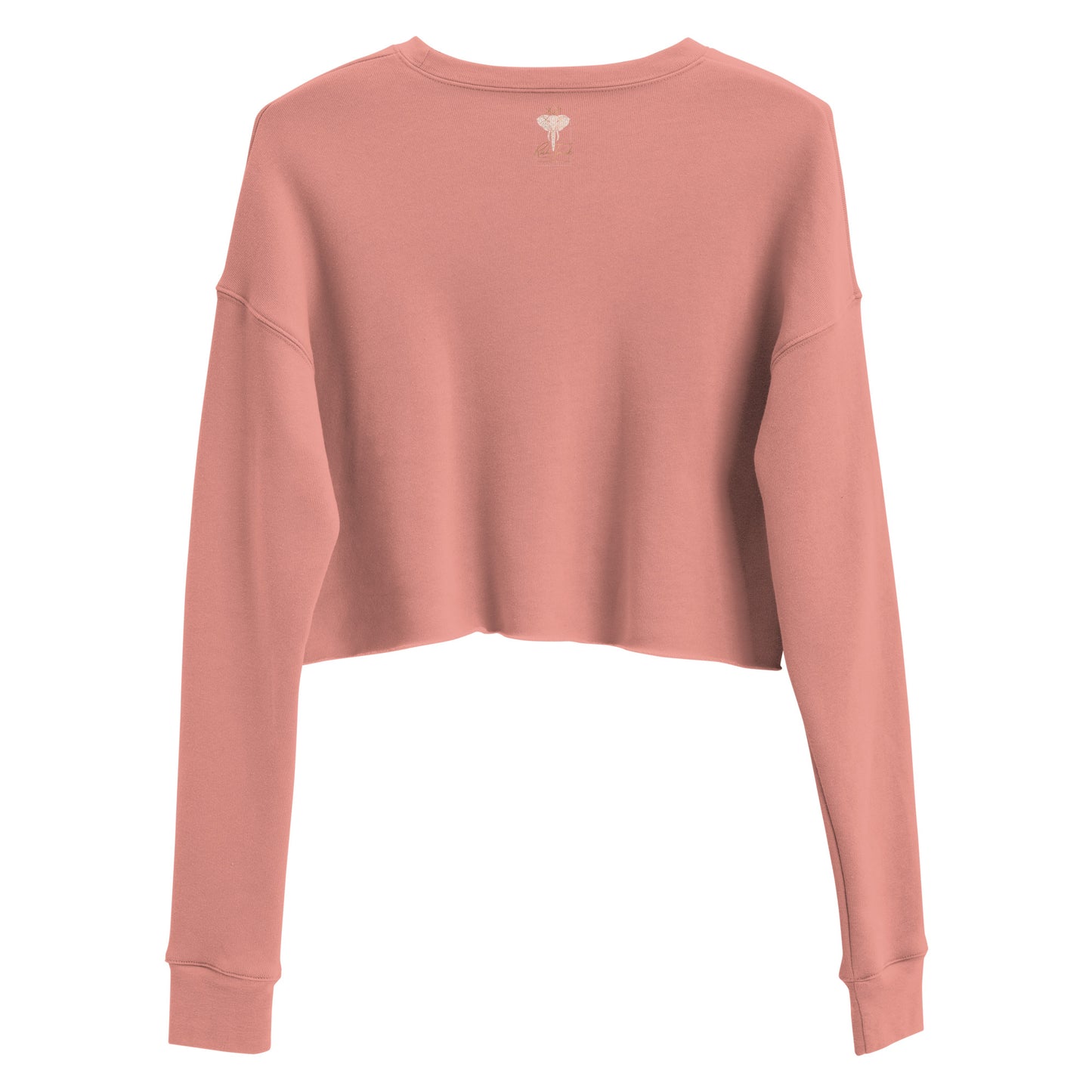 Big V Energy Crop Sweatshirt